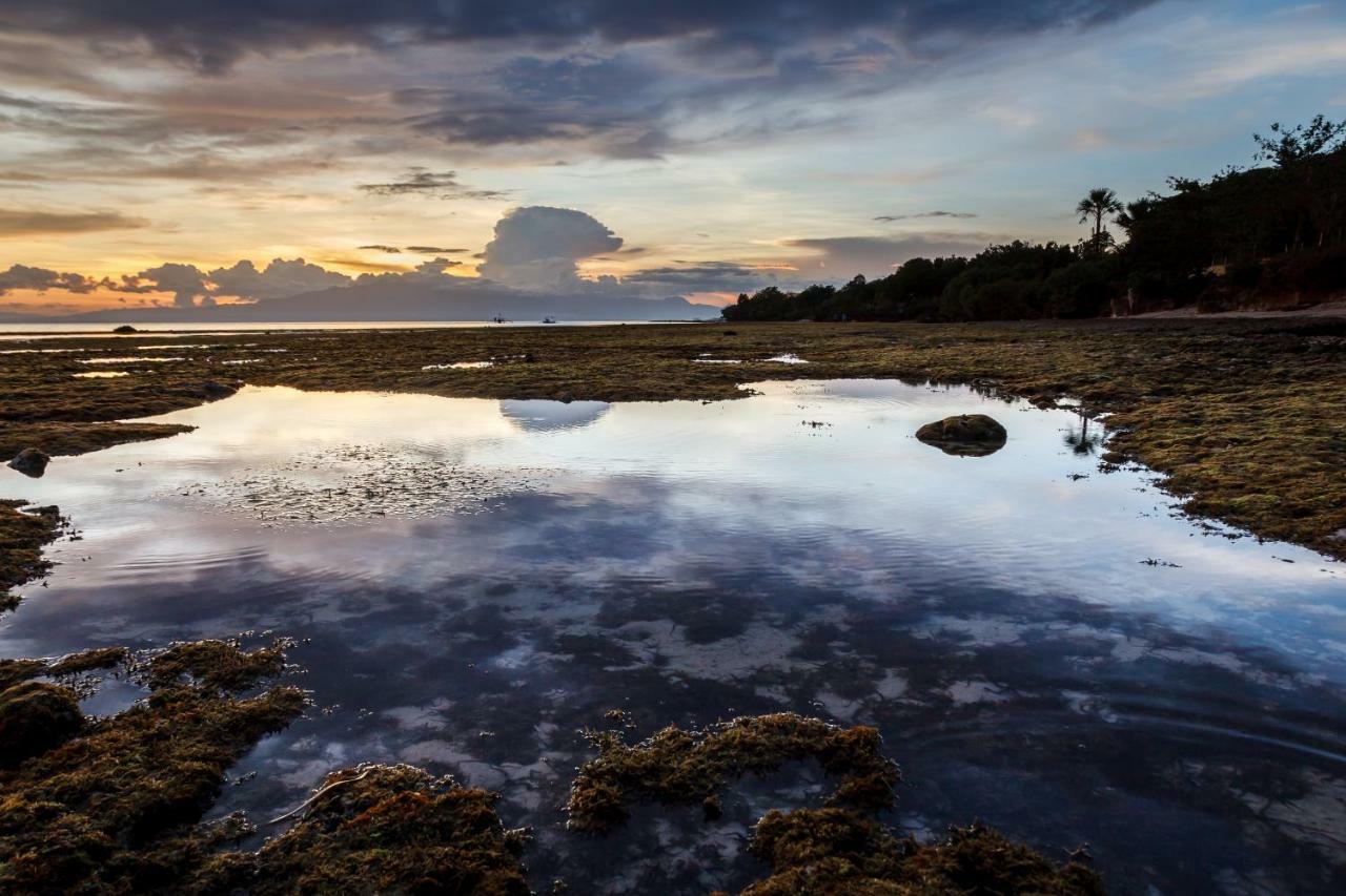 Residencia Diosa Hotel Siquijor Bagian luar foto